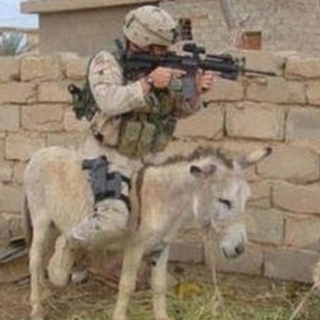 Soldier on Donkey