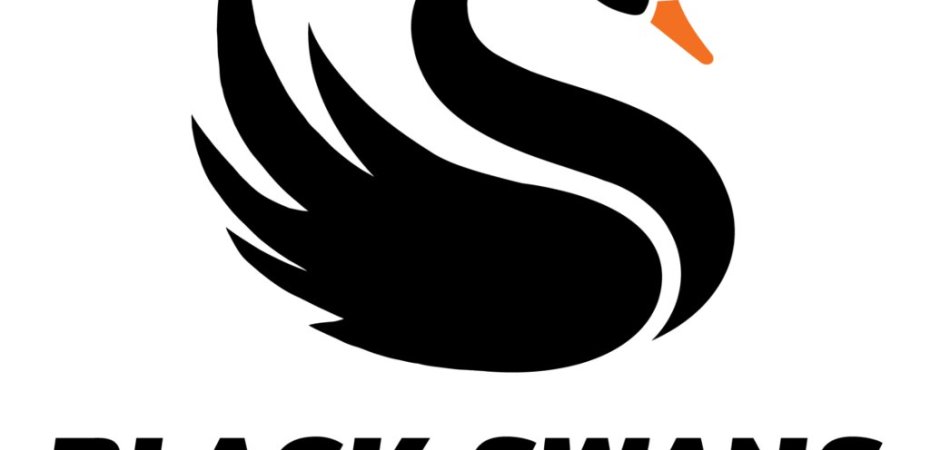 BlackSwans.co.nz TorquePoint Ltd